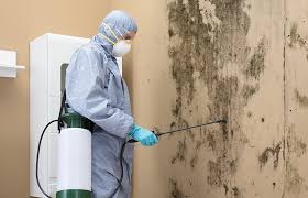 Best Mold Odor Removal Services  in Barrington, NJ